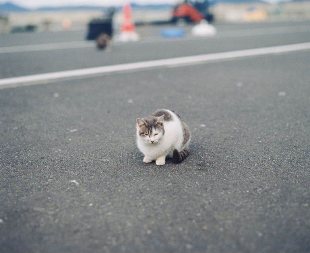 PENTAX 67 TTL(グリップ有) &SMC 6x7 105mm F2.4