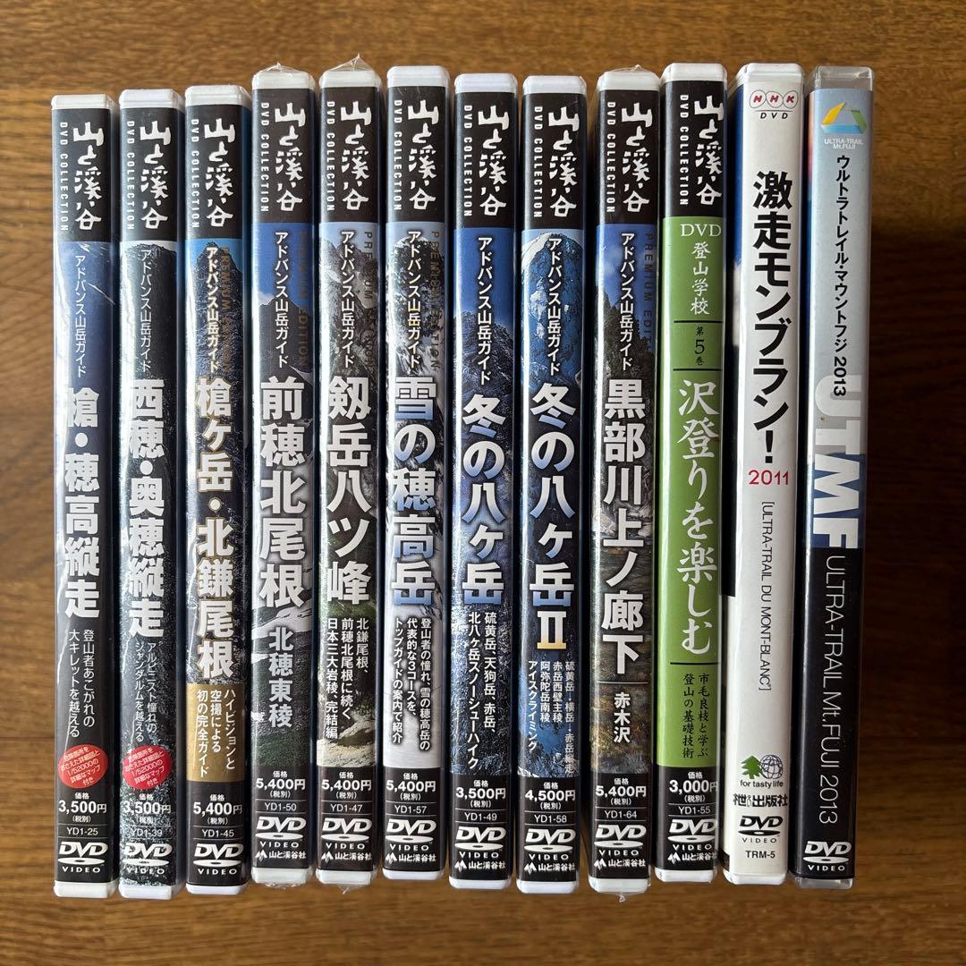 山と溪谷 アドバンス山岳ガイド DVDコレクション