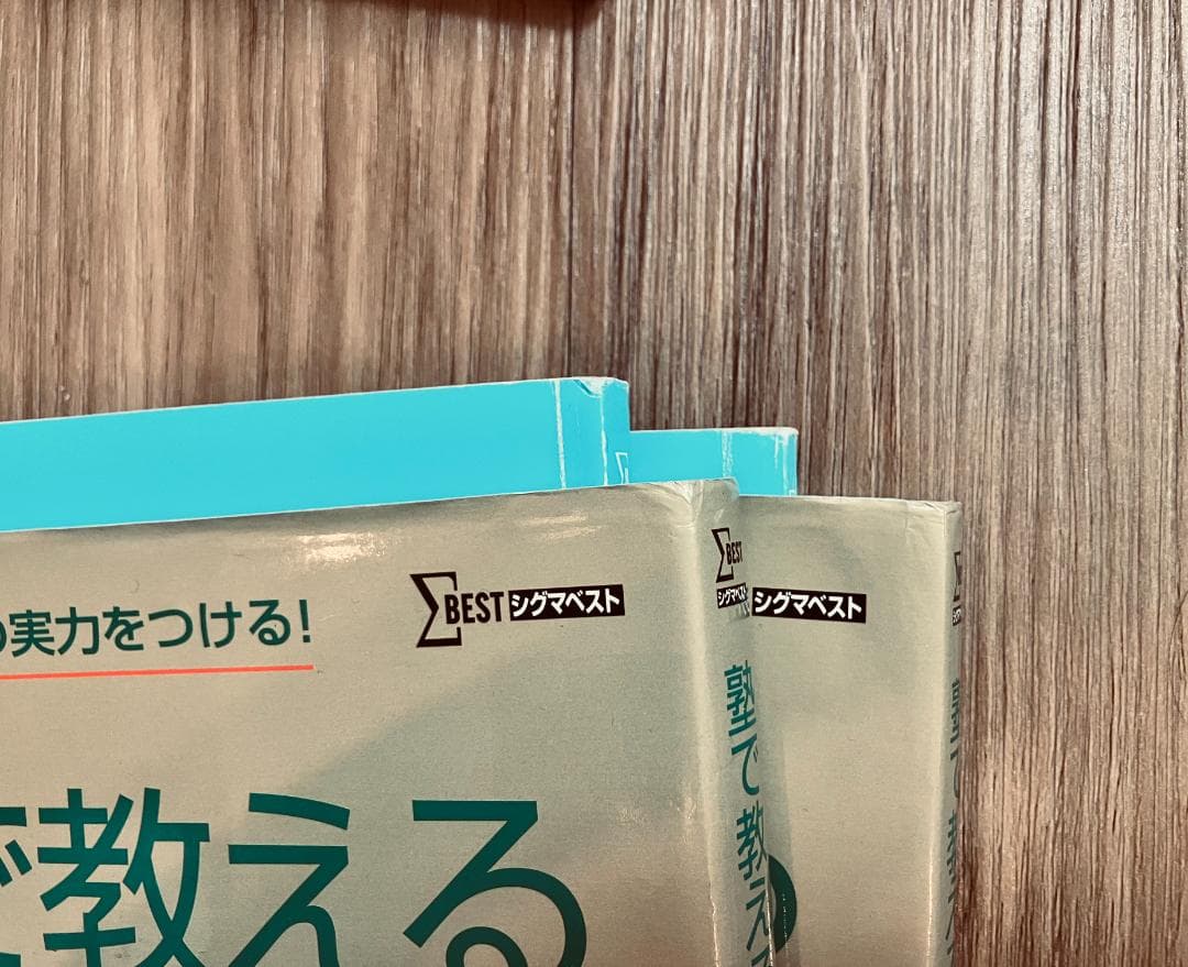 【未使用未記入】塾で教える国語　論理的文章の読解　文学的文章の読解　実践問題集