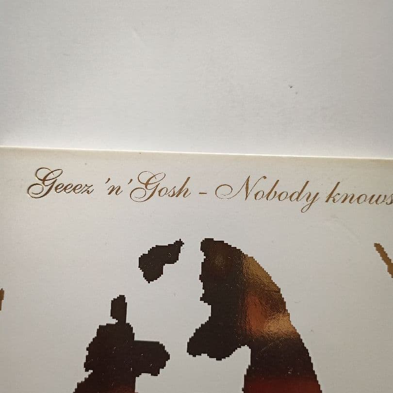 Geeez 'N' Gosh ‎– Nobody Knows /atom tm