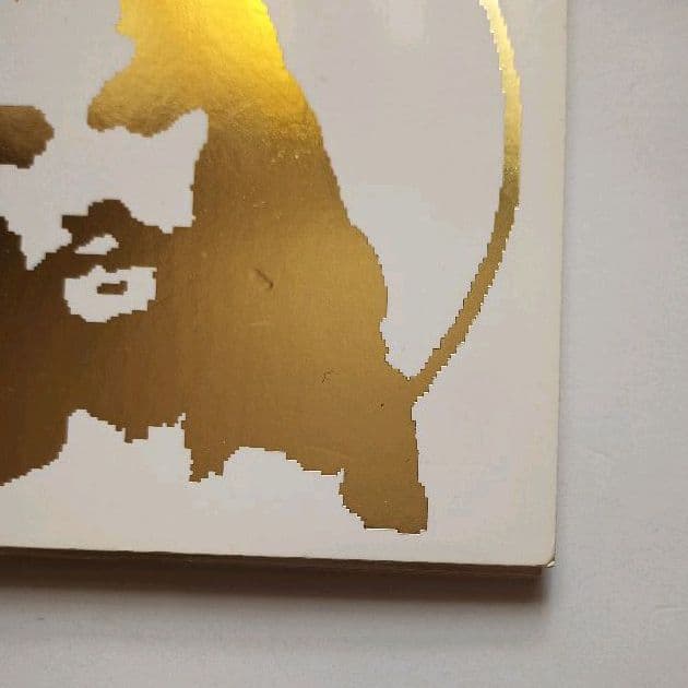 Geeez 'N' Gosh ‎– Nobody Knows /atom tm