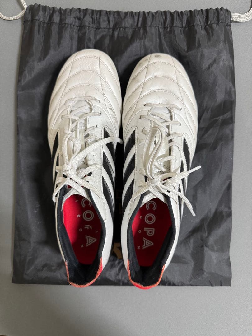 ひなはるさん限定