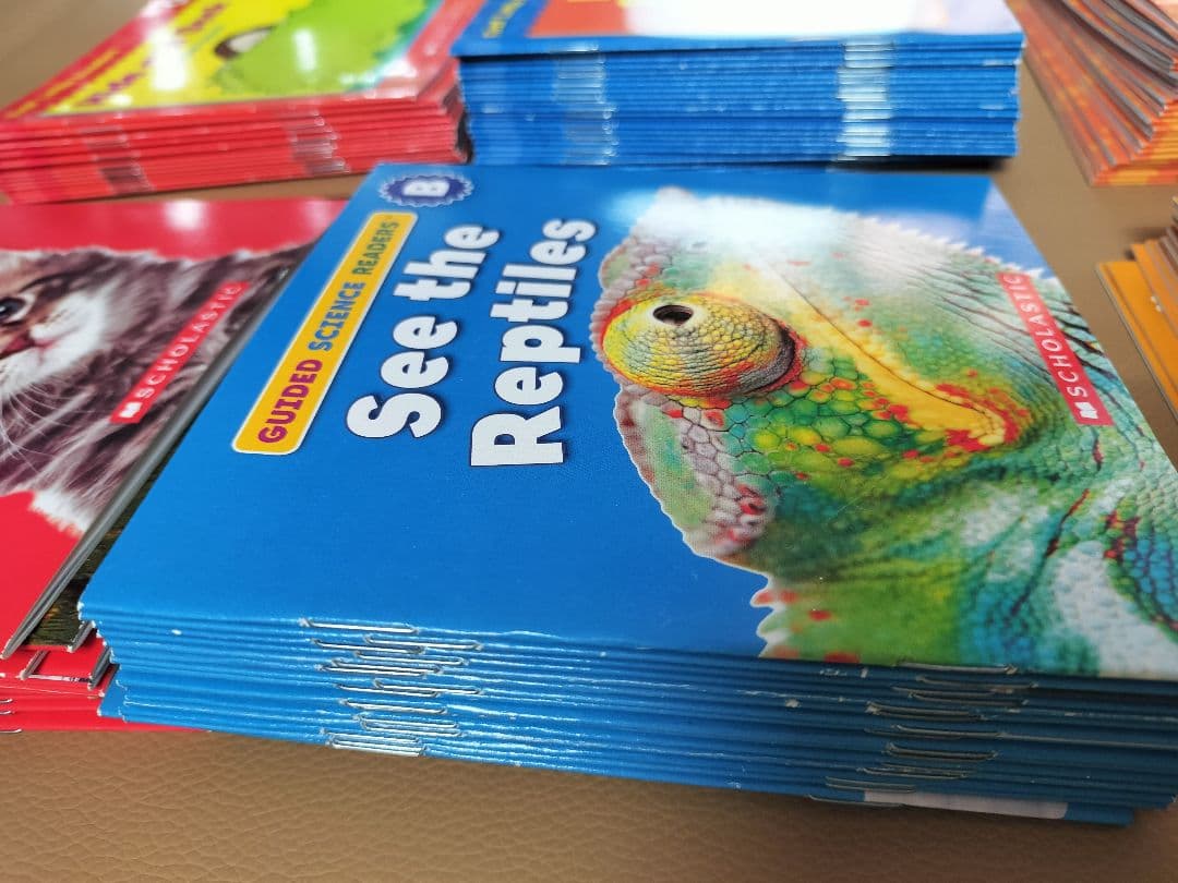 【33,000円購入】English Reader 英語絵本 大量セット