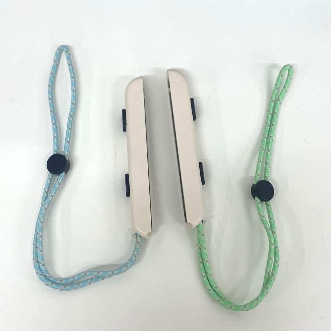 Nintendo Switch ニンテンドースイッチ どうぶつの森 特別デザイン