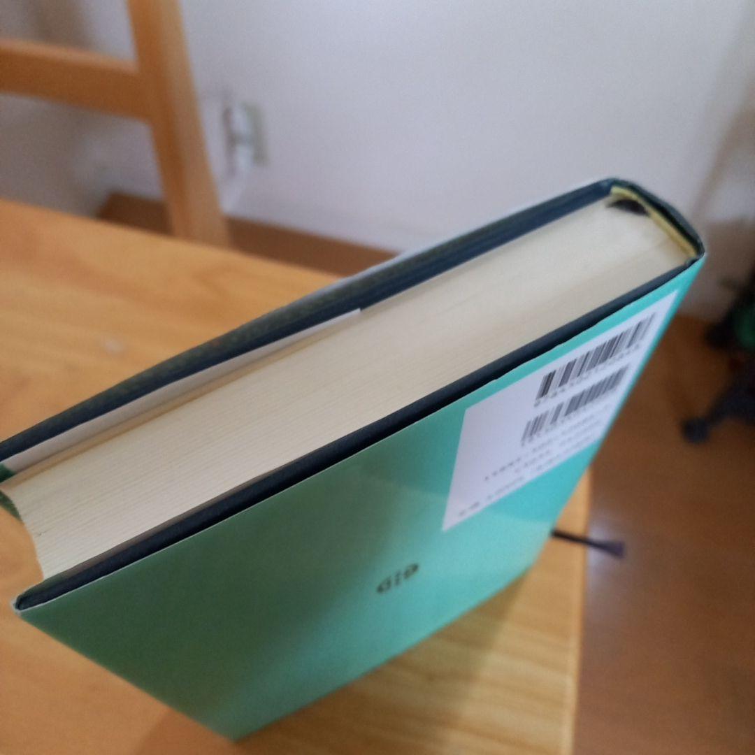 入手困難　勘定科目別にみた異常点監査の手法