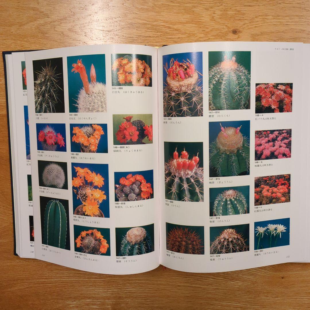 希少サボテン科大事典 ：266属とその種の解説 　伊藤芳夫 1988定価4.5万