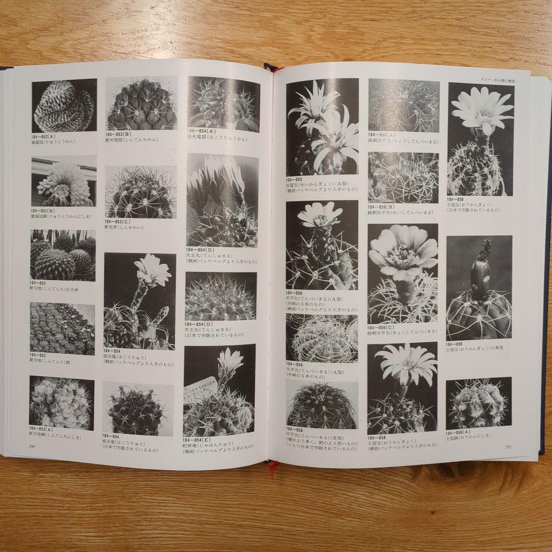 希少サボテン科大事典 ：266属とその種の解説 　伊藤芳夫 1988定価4.5万