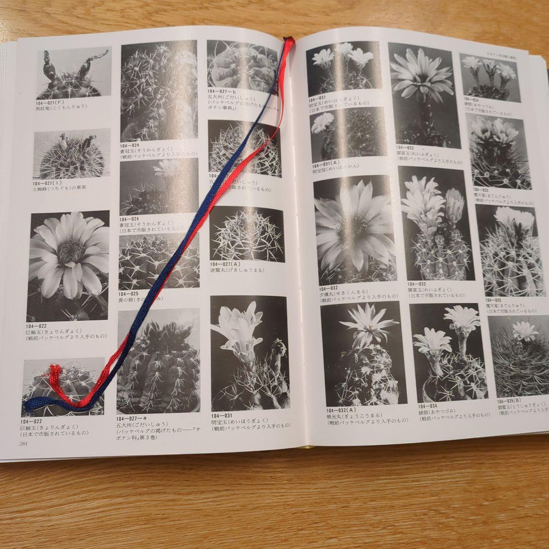 希少サボテン科大事典 ：266属とその種の解説 　伊藤芳夫 1988定価4.5万