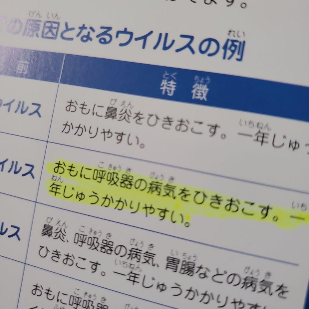 【最終値下げ】男の子　絵本まとめ売り　乗り物絵本多　ミッケ！せんろはつづく