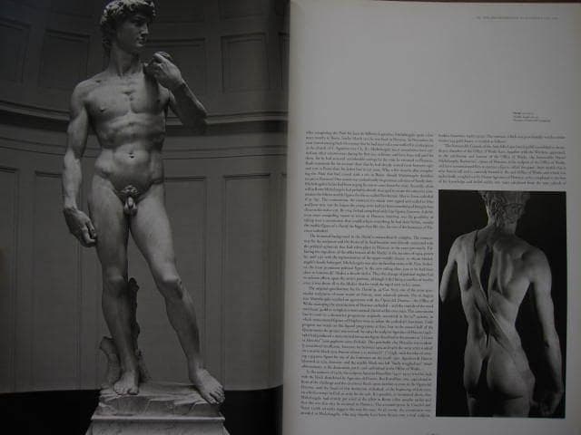 アート・デザイン・音楽 MICHELANGELO COMPLETE WORKS