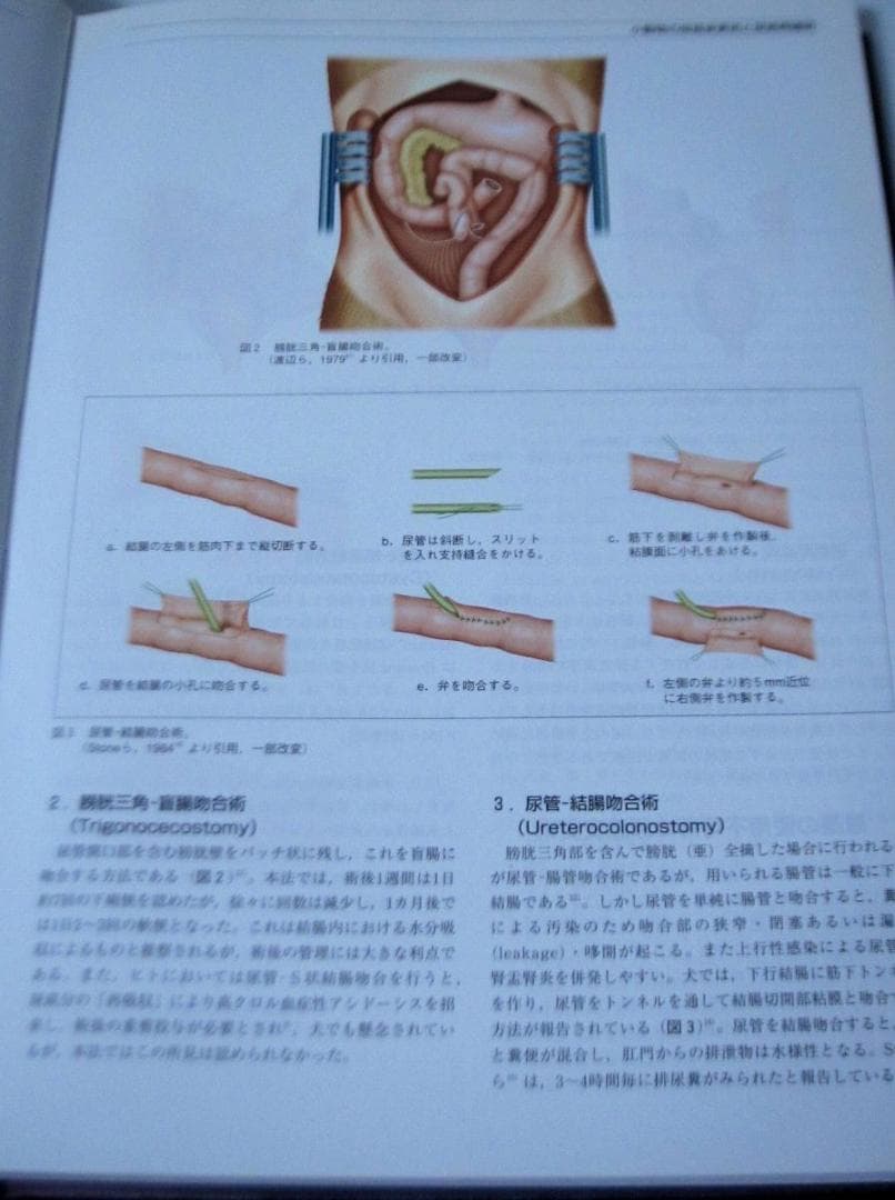 軟部外科 2 (プレミアム・サージャン２) インターズー