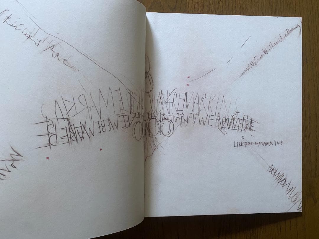 マーク・ボスウィック「 not in fashion」直筆サイン入り　カード付き