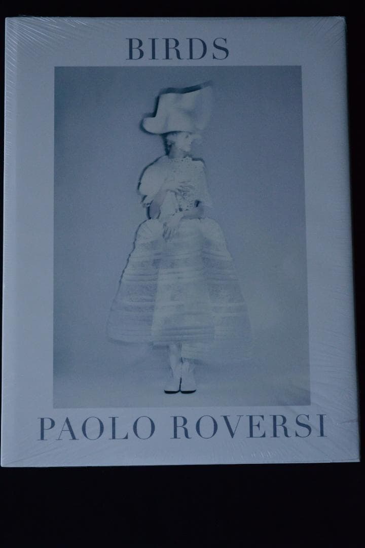 【PAOLO ROVERSI:BIRDS】　★★大幅に値下げしました