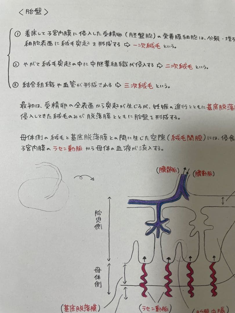 ssm_args2ページ　助産師学校セット