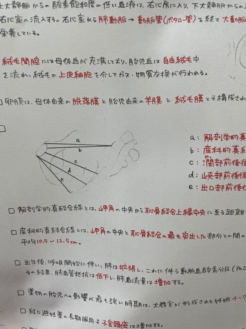 ssm_args2ページ　助産師学校セット