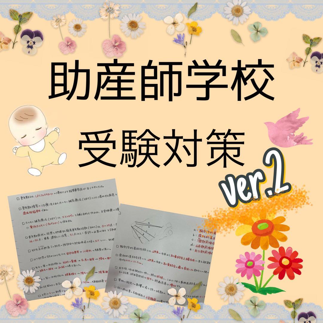 ssm_args2ページ　助産師学校セット