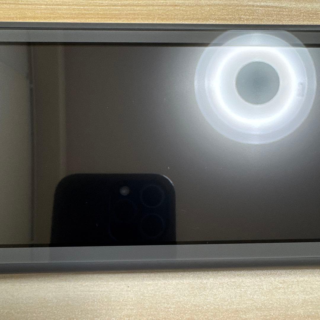 Nintendo Switch Lite グレー 本体　ほぼ新品