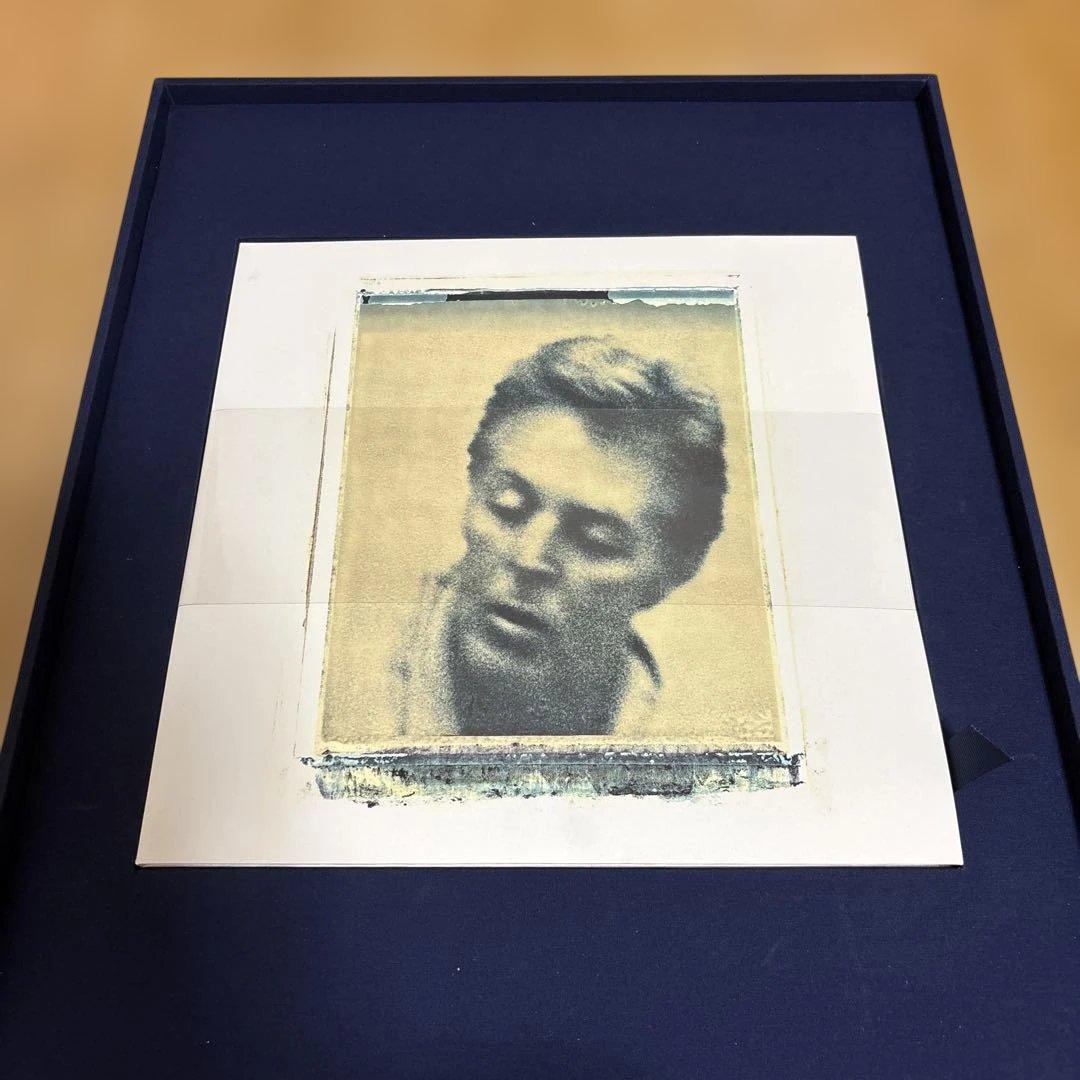 【大幅値下げ】ポール・マッカートニーフレイミング・パイ コレクターズエディション