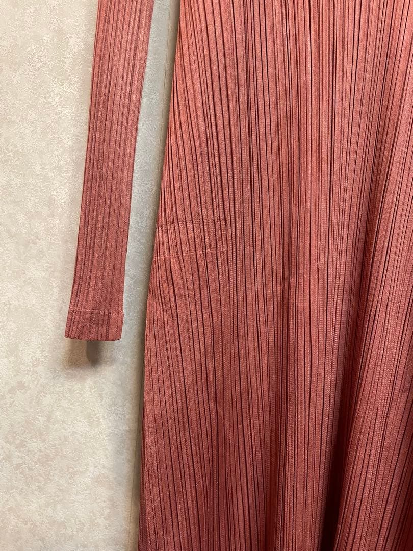 PLEATS PLESE ワンピース 2024年12月