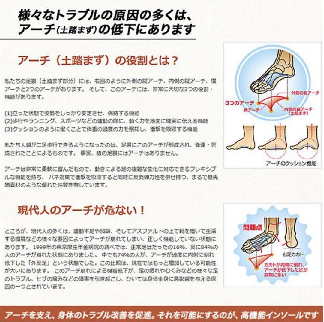 【11/16値下げ:新品】シダス ウインターカスタム インソール