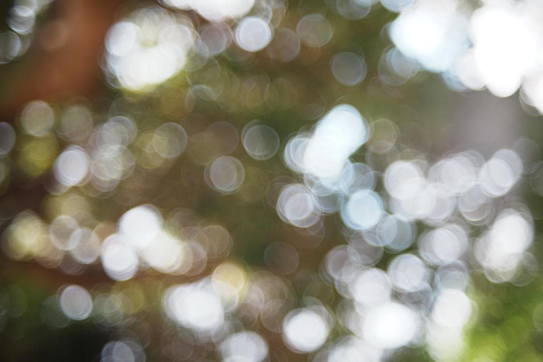 心地よいバブルボケと温かい描写 Fujinon 55mm F2.2 815