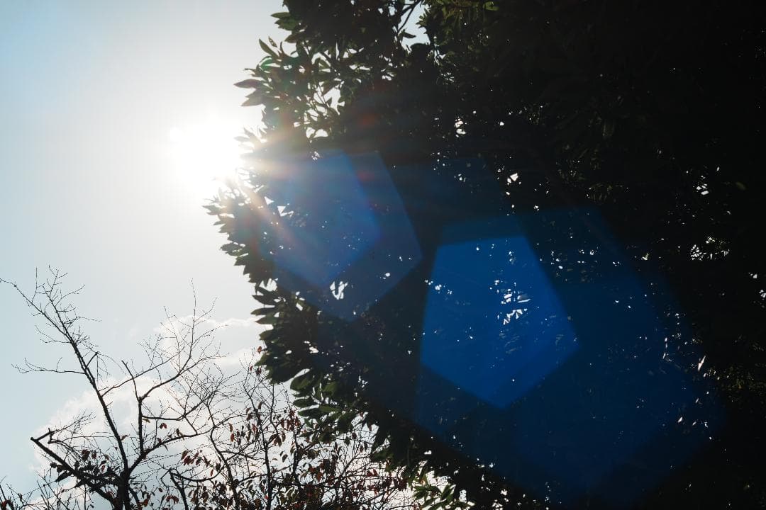 心地よいバブルボケと温かい描写 Fujinon 55mm F2.2 815