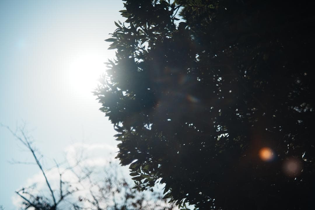 心地よいバブルボケと温かい描写 Fujinon 55mm F2.2 815
