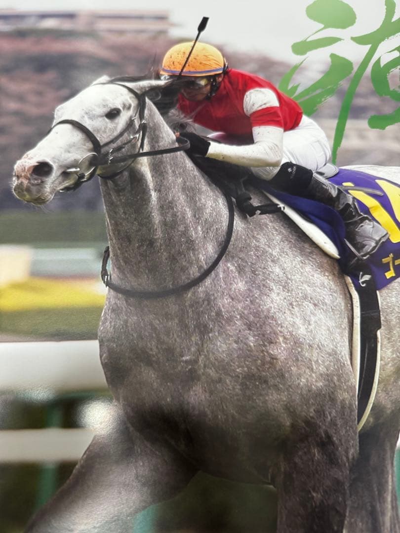 【Perry】競馬　ゴールドシップ　B2ポスター　皐月賞