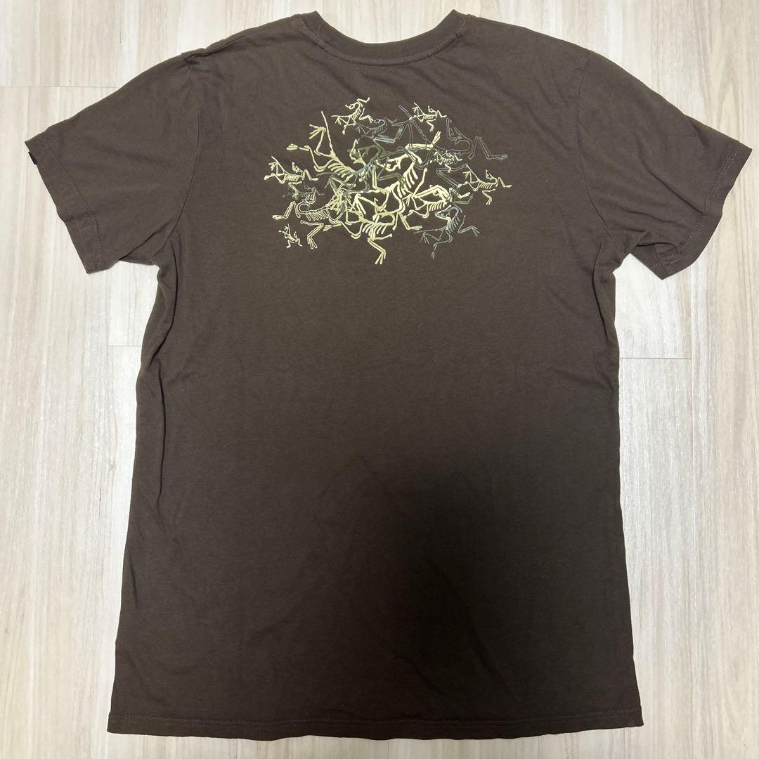 00s アークテリクス ARC'TERYX Tシャツ Mサイズ サンウエスト