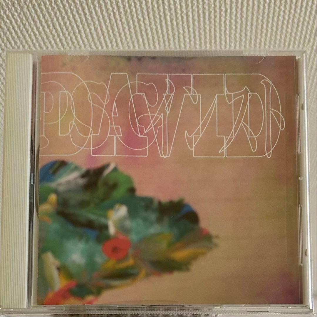 邦楽 DAVID INST PUNPEE PSG SLACK