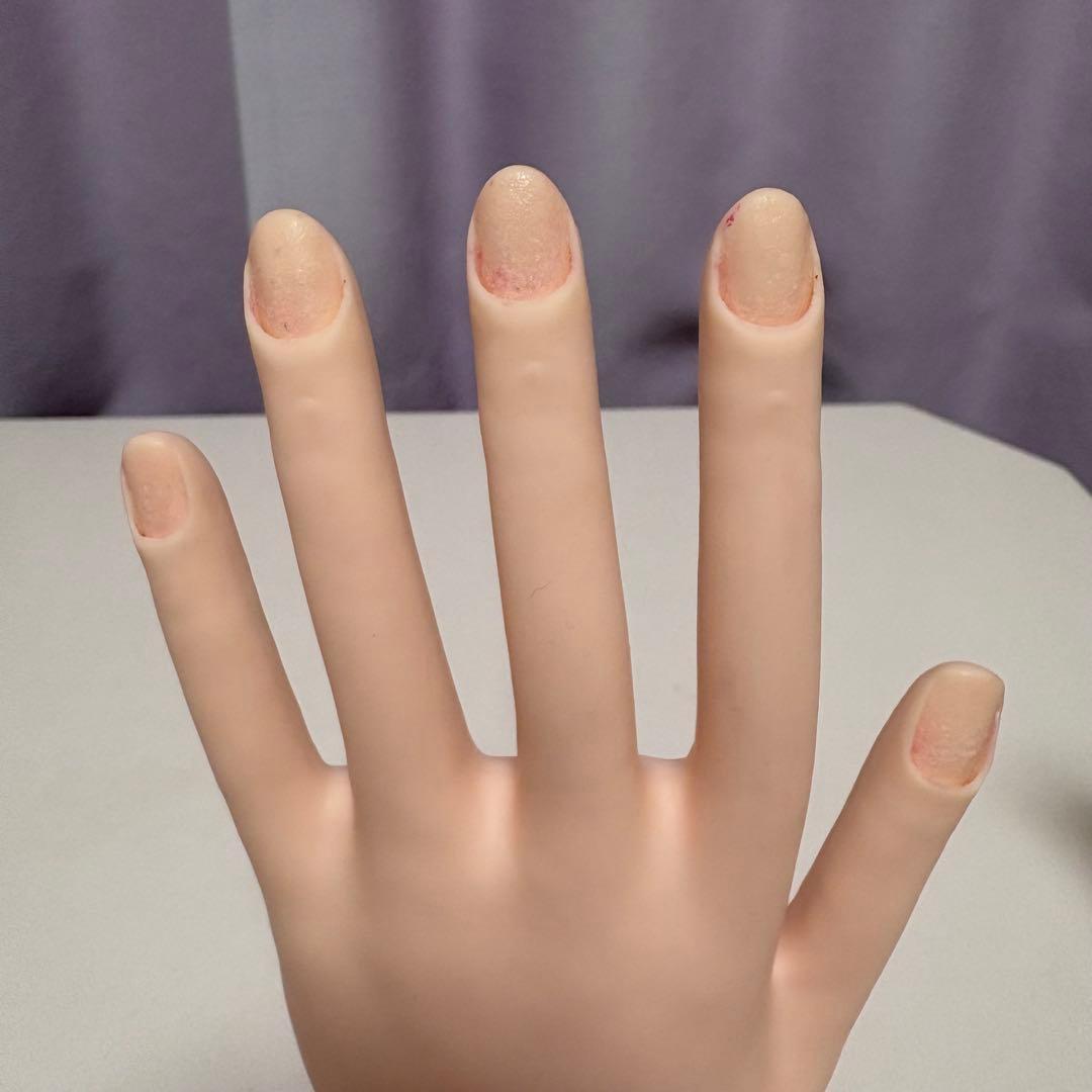 【チップ付】　JNEC認定モデルハンド　骨折なし