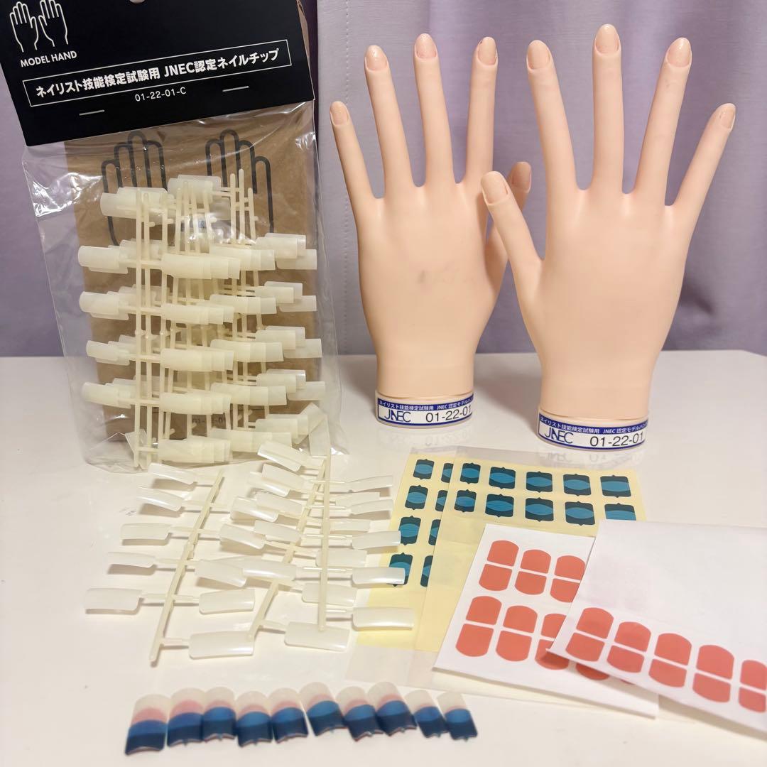 【チップ付】　JNEC認定モデルハンド　骨折なし