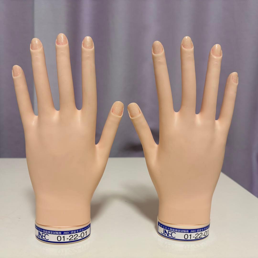 【チップ付】　JNEC認定モデルハンド　骨折なし