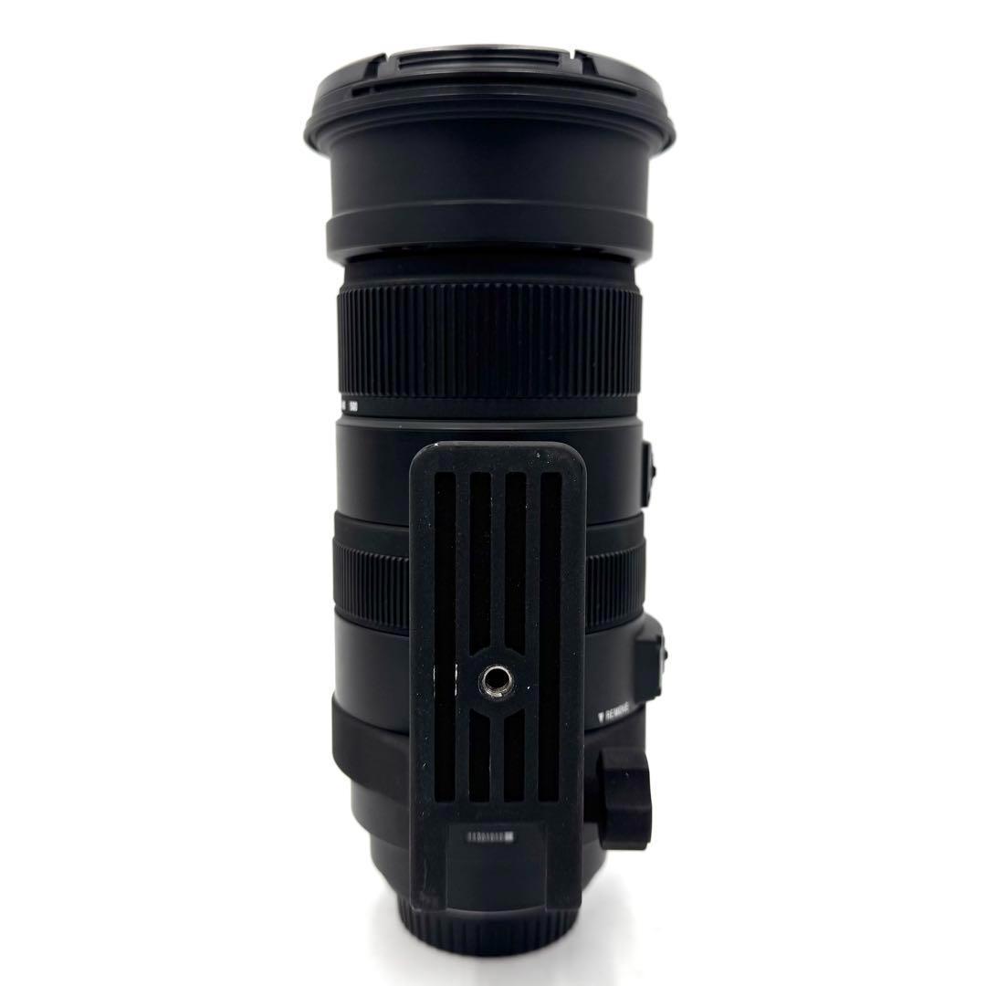 ❁大迫力！超望遠❁SIGMA 50-500mm DG OS HSM キャノン用