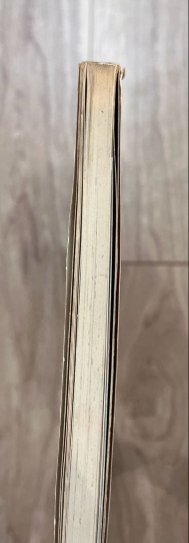 希少　MINKY-MOMO原画集　初版サイン入PRINCESS OF MAGIC