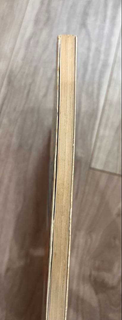 希少　MINKY-MOMO原画集　初版サイン入PRINCESS OF MAGIC