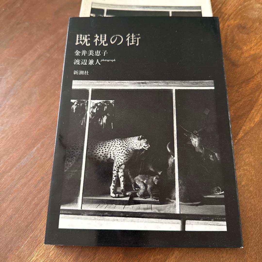既視の街 金井美恵子 渡辺謙人 新潮社