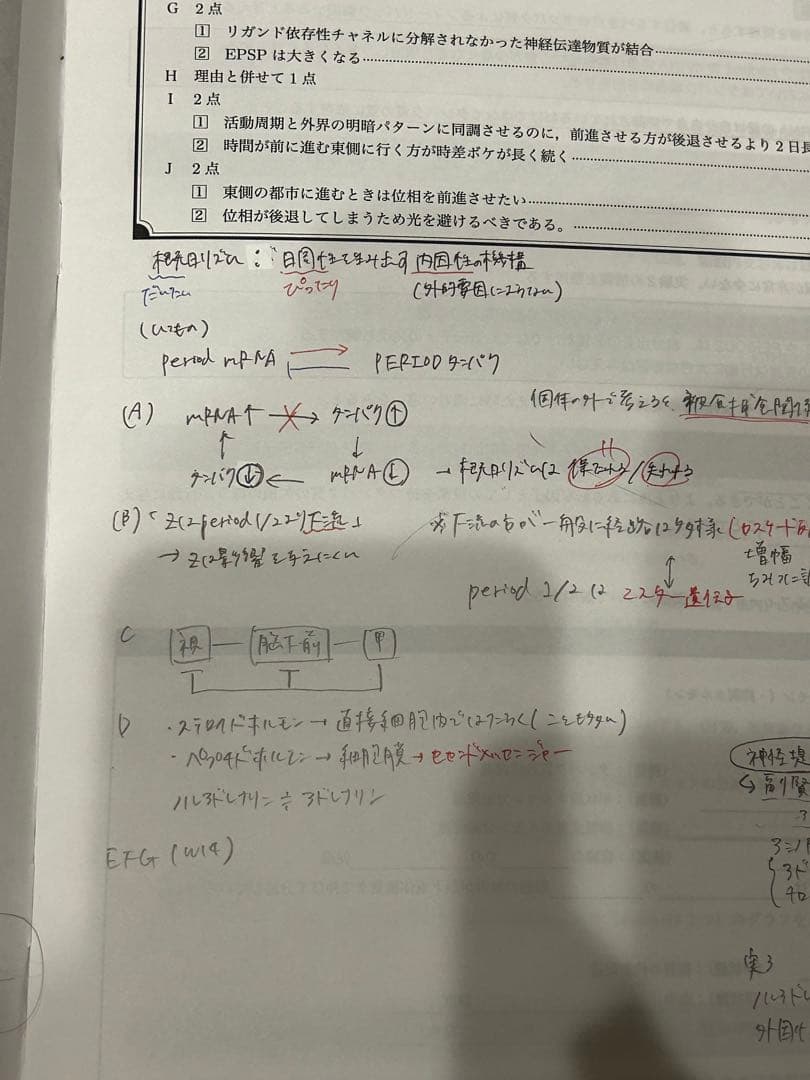 鉄緑会 高３生物