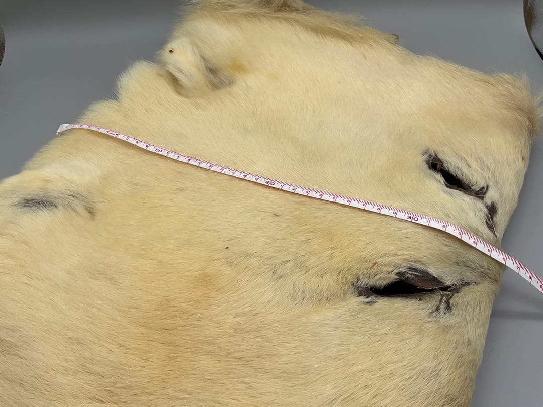 【希少レア!】ポーラベア マスク ヘアマテリアル フライフィッシング