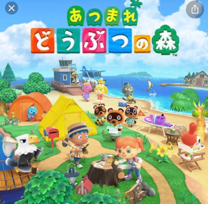 Nintendo Switch SWITCH LITE イエ…どうぶつのもり付き