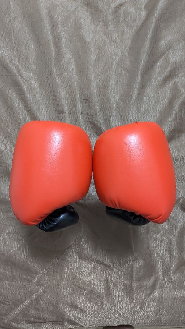 エバーラストパワーロック　ボクシンググローブ　16オンス 【試着のみ】