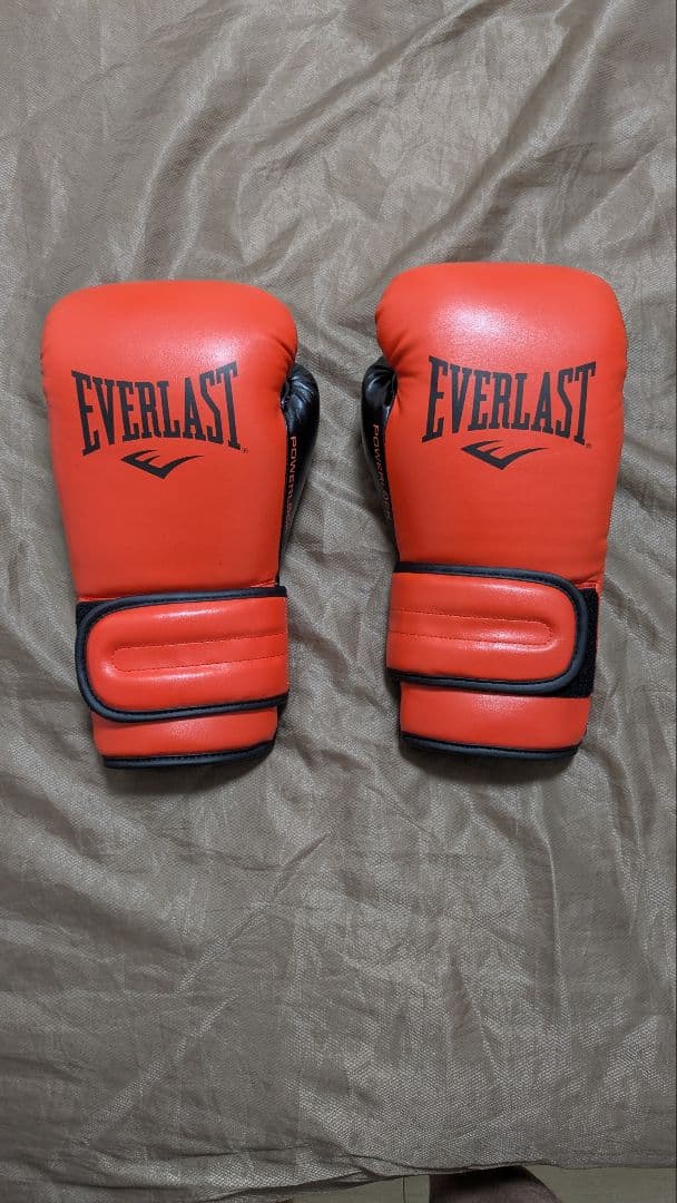 エバーラストパワーロック　ボクシンググローブ　16オンス 【試着のみ】