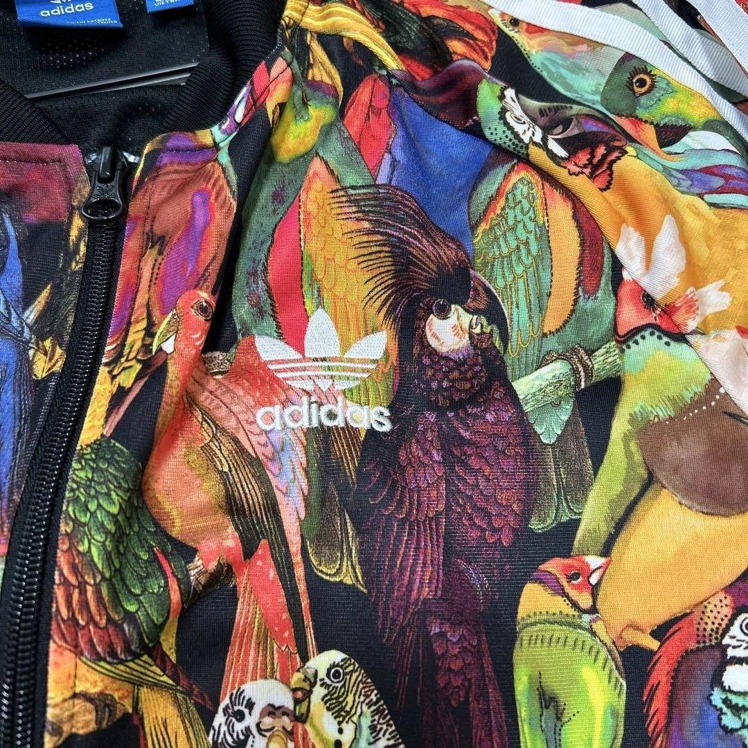 adidas originals 鳥プリント ジャージ