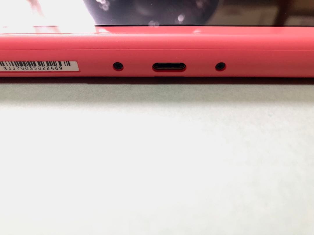 Nintendo Switch Lite どうぶつの森デザイン ピンク