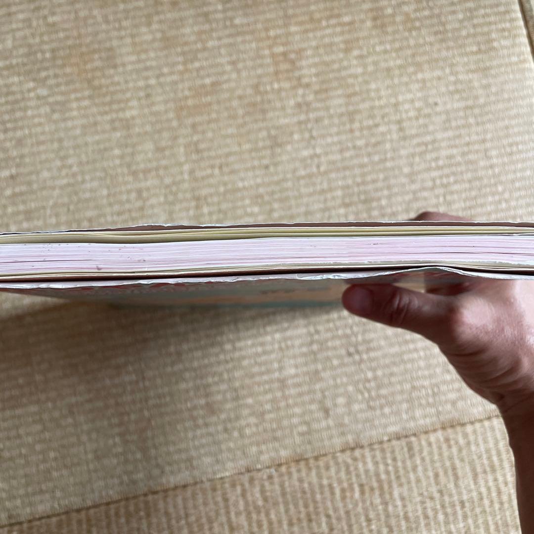 240動画でわかる赤ちゃんの発達地図 : 胎児・新生児期から歩行するまでの発達…