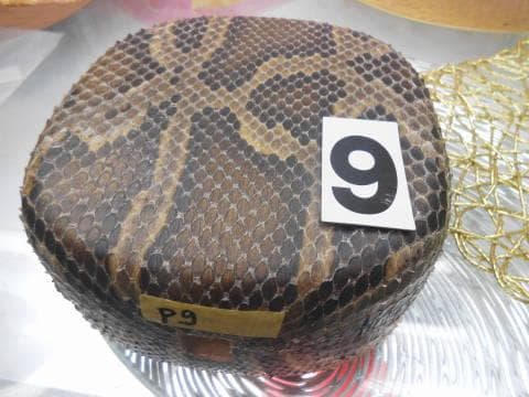 (送料無料)12.980円　沖縄三線専用　蛇皮強化チーガ、自作へ挑戦三点から選択