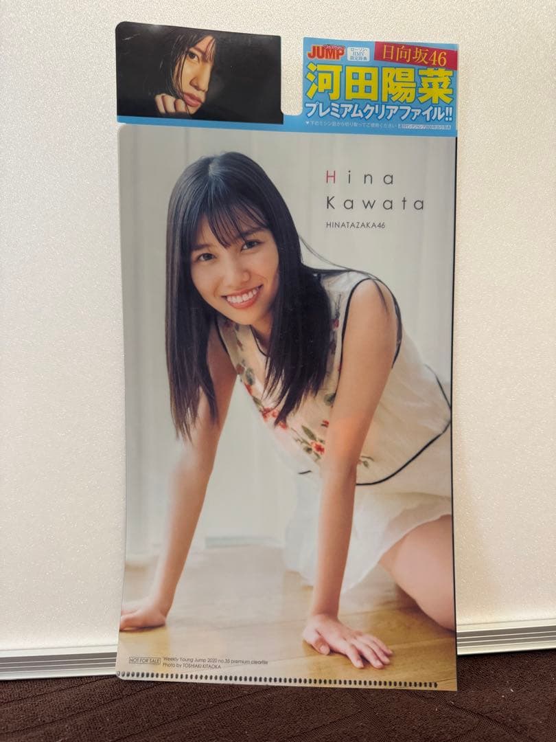 日向坂46 1st写真集、ペンライト、書本、ペンライト他