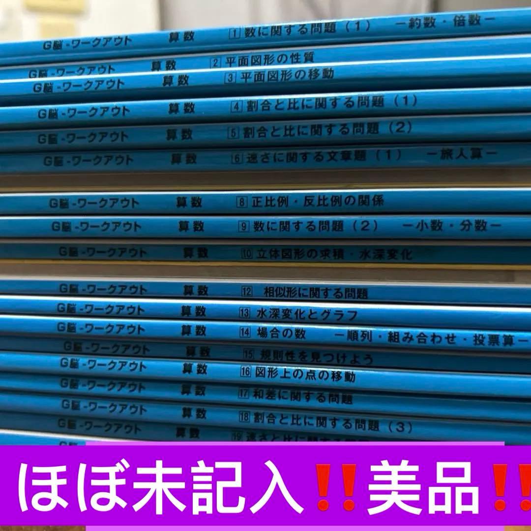 e サピックス生にも　グノーブル　G脳ワークアウト　6年算数20冊