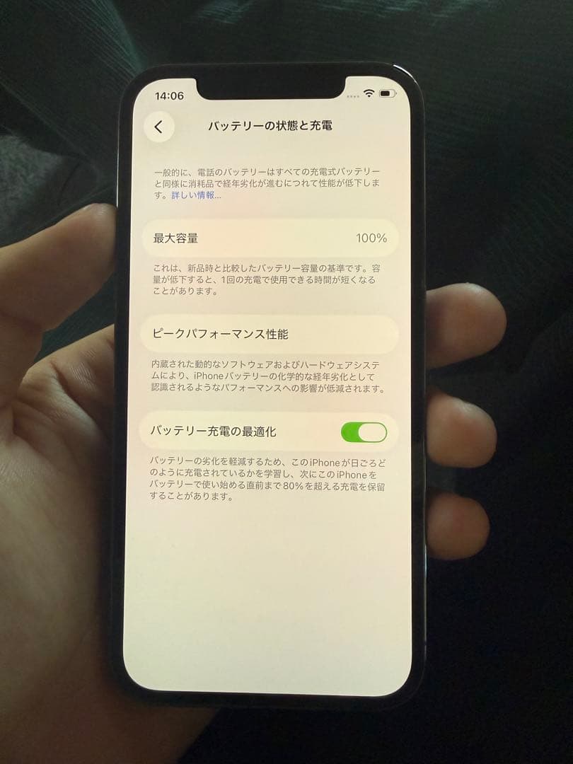 iPhone 12 Pro 本体 simフリー　100% 256GB