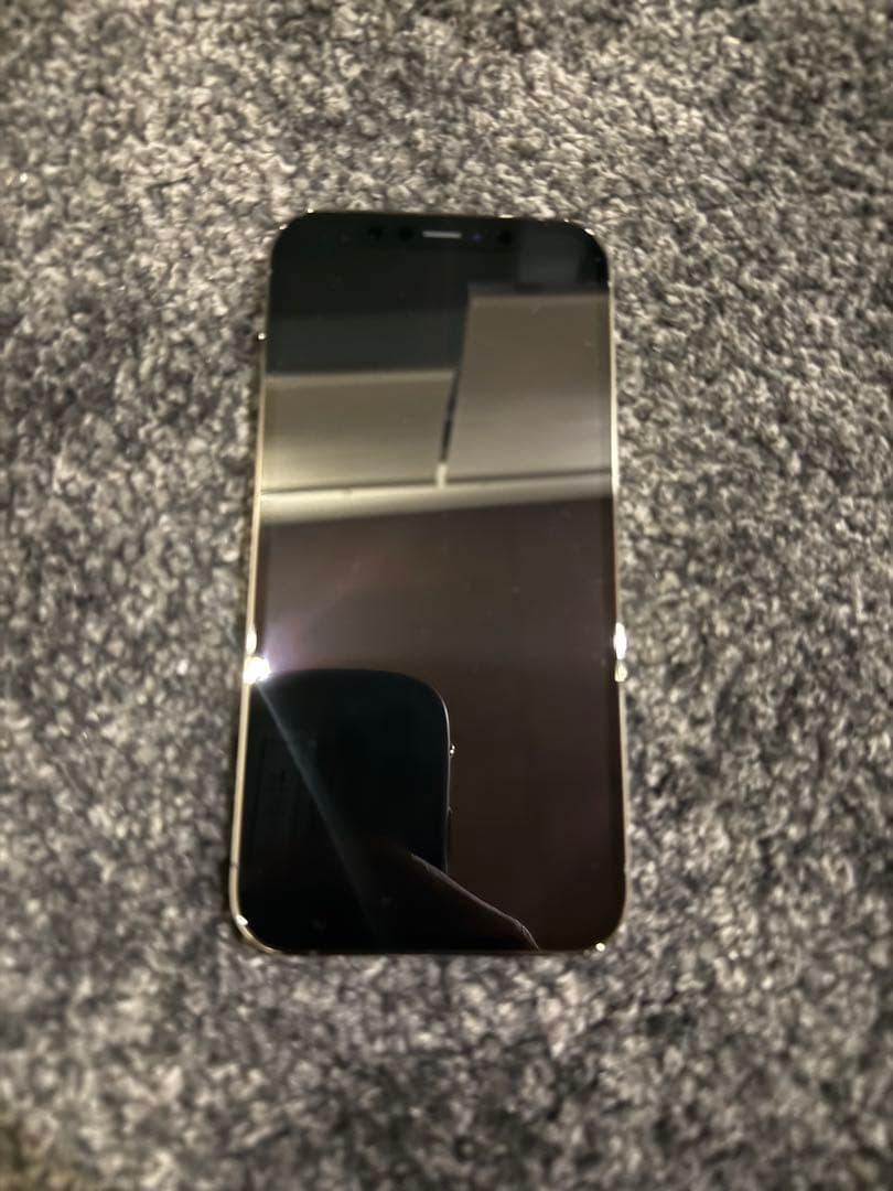 iPhone 12 Pro 本体 simフリー　100% 256GB